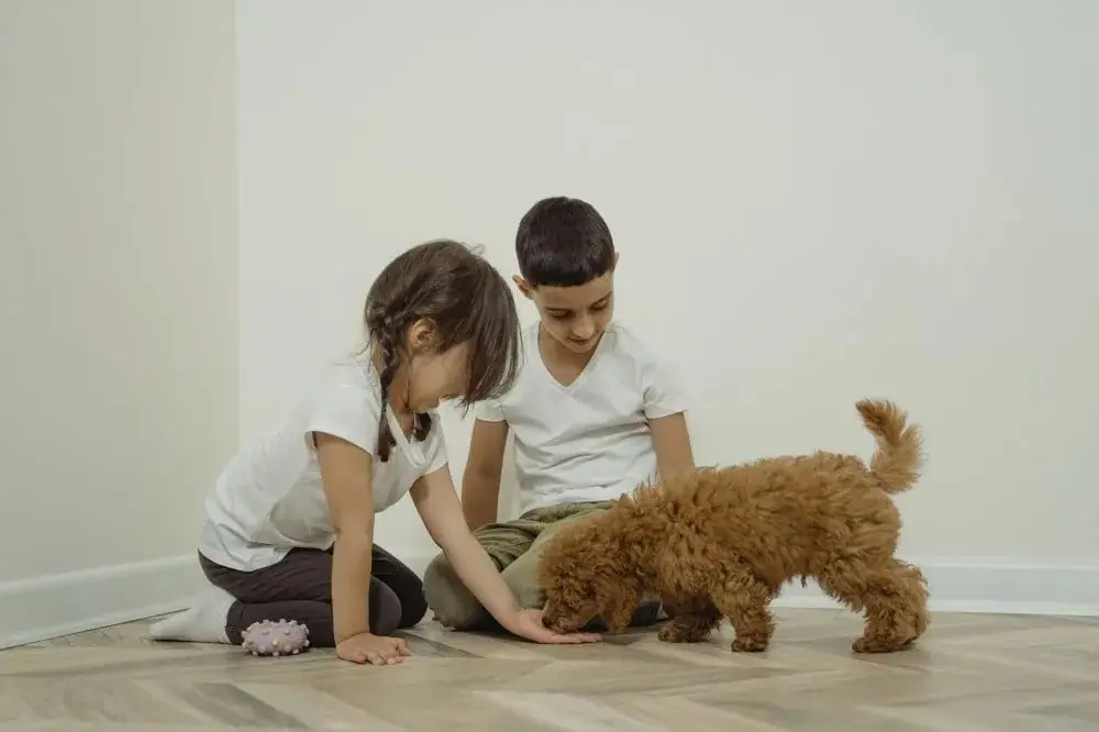 Chiens et enfants : comment assurer une cohabitation réussie