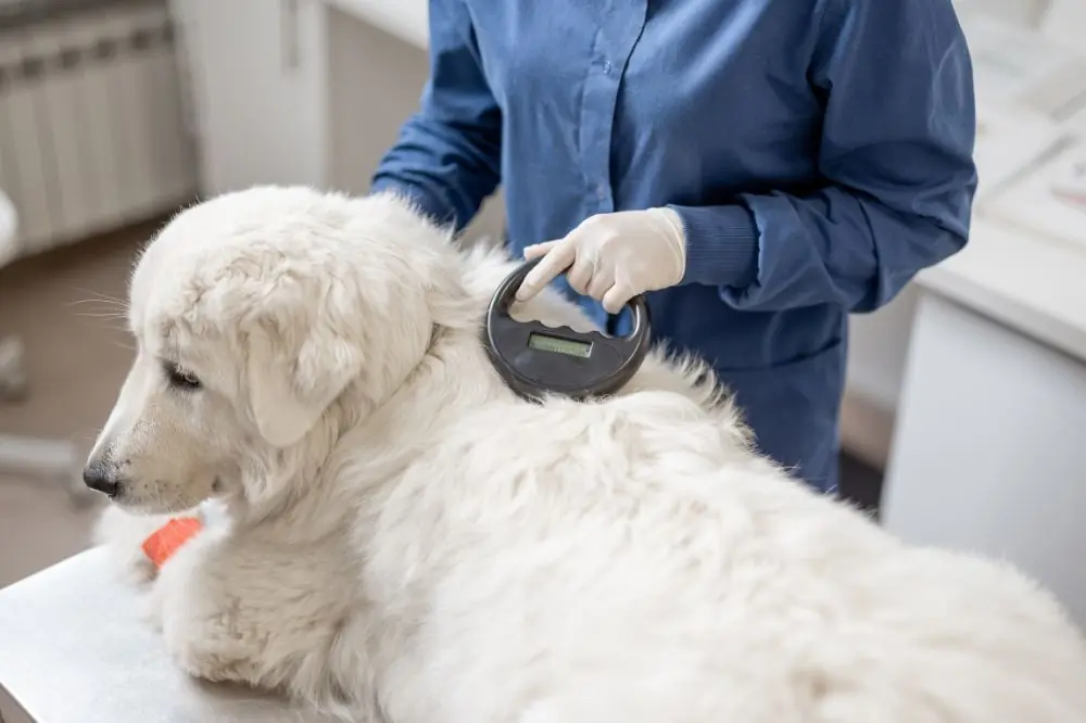 Diagnostico y tratamiento