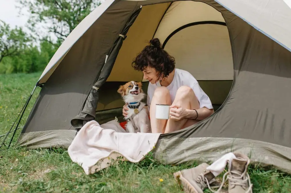 Campings que admiten perros en Asturias