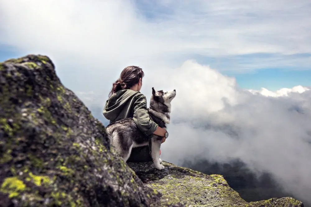 Campings que admitan perros en Tarragona