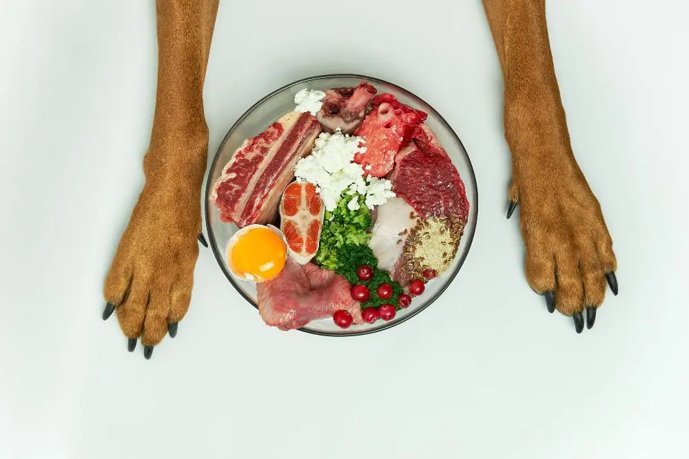 Importancia de la nutricion natural