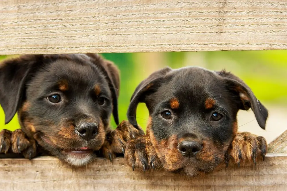 Normative e requisiti di viaggio