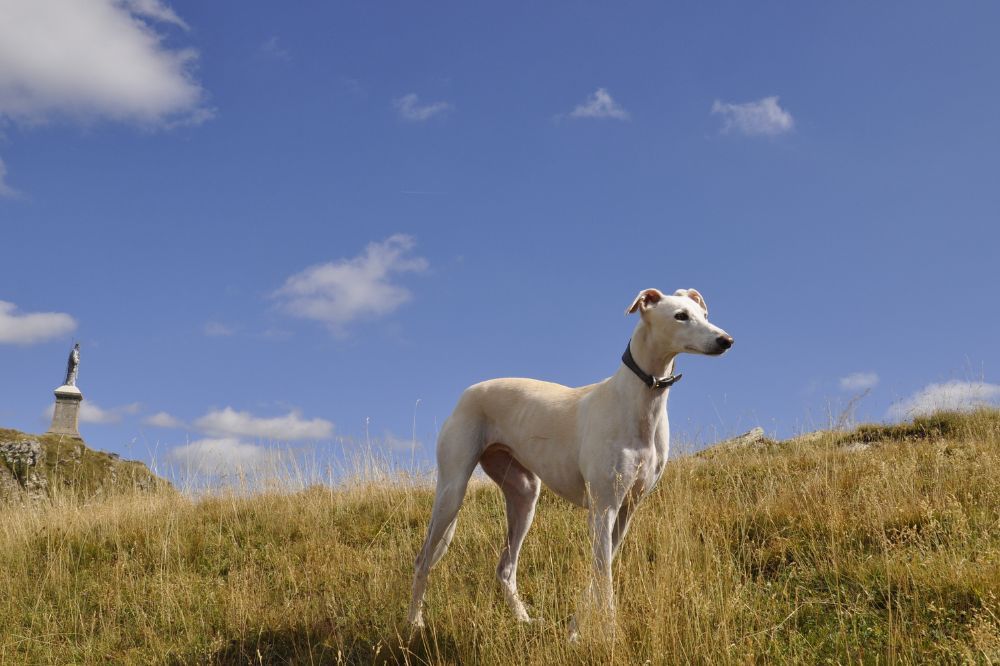 Maintenir un programme dalimentation constant