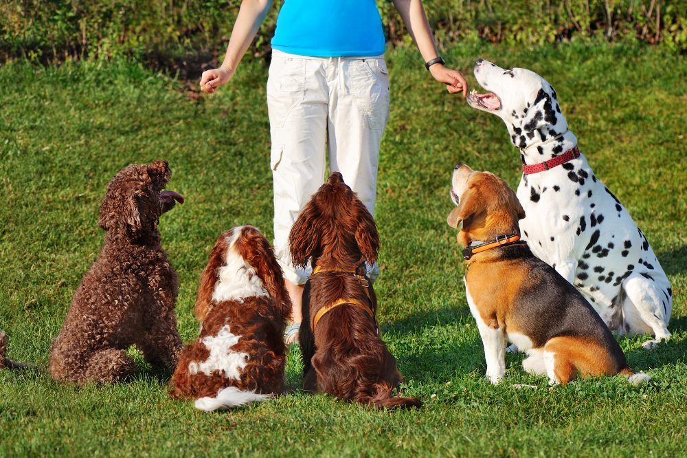 Manejo de conflictos