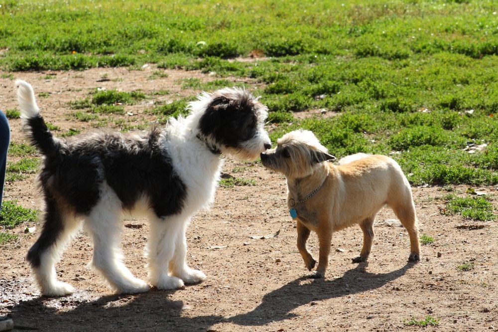 Preparacion antes de la llegada