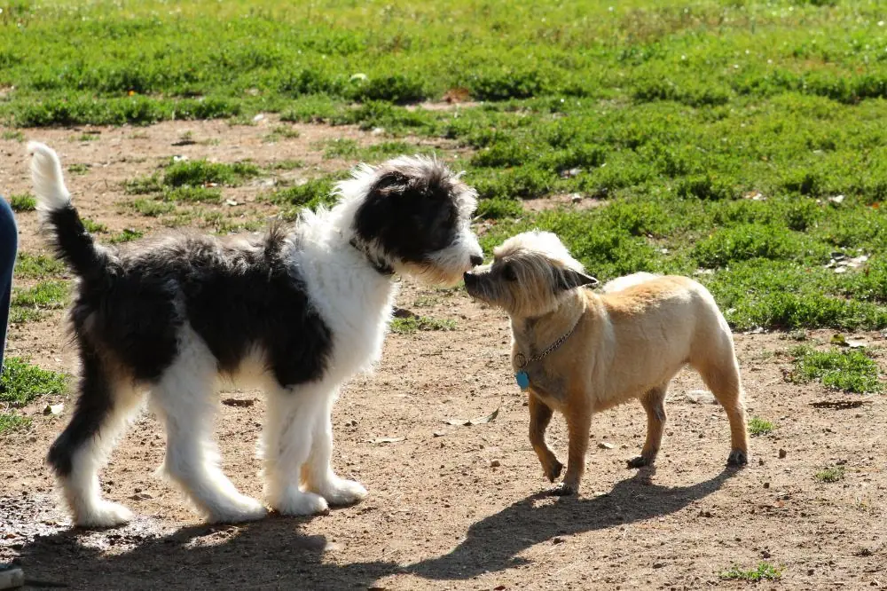 Preparacion antes de la llegada