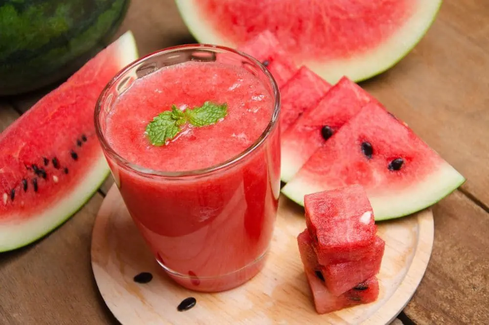 Receta de verano para perros: Batido refrescante de sandía y menta