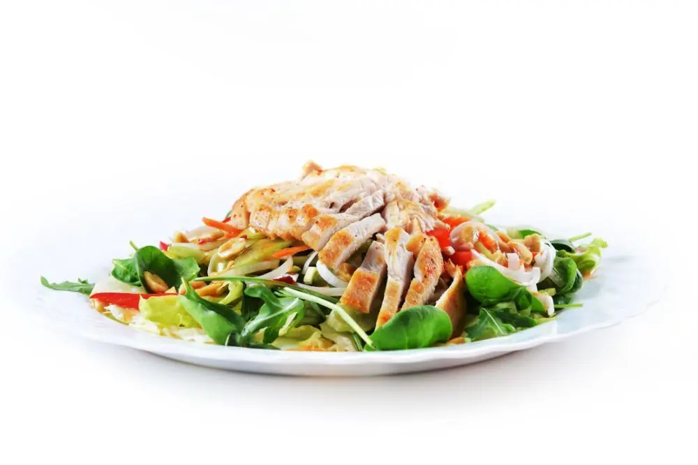 Recetas de verano para perros: Ensalada de pollo y vegetales frescos