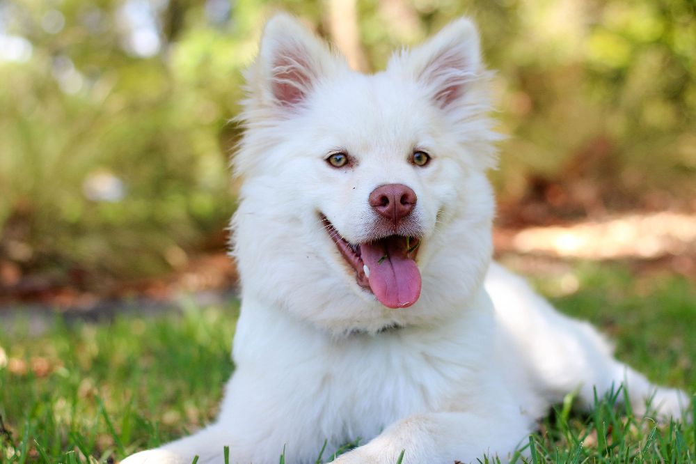 Conseils sur l'alimentation