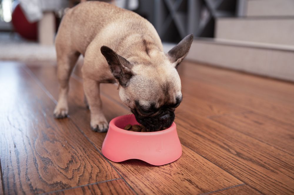 Sintomas y signos de alerta