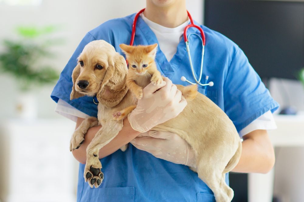 Soins dentaires pour la santé