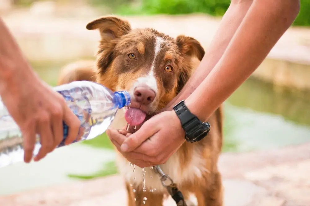 Soporte fisico inicial
