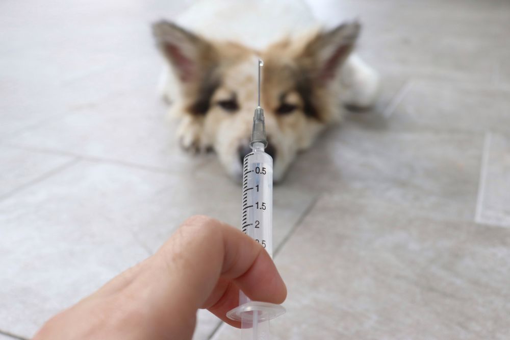 Tratamientos convencionales y cuidados medicos