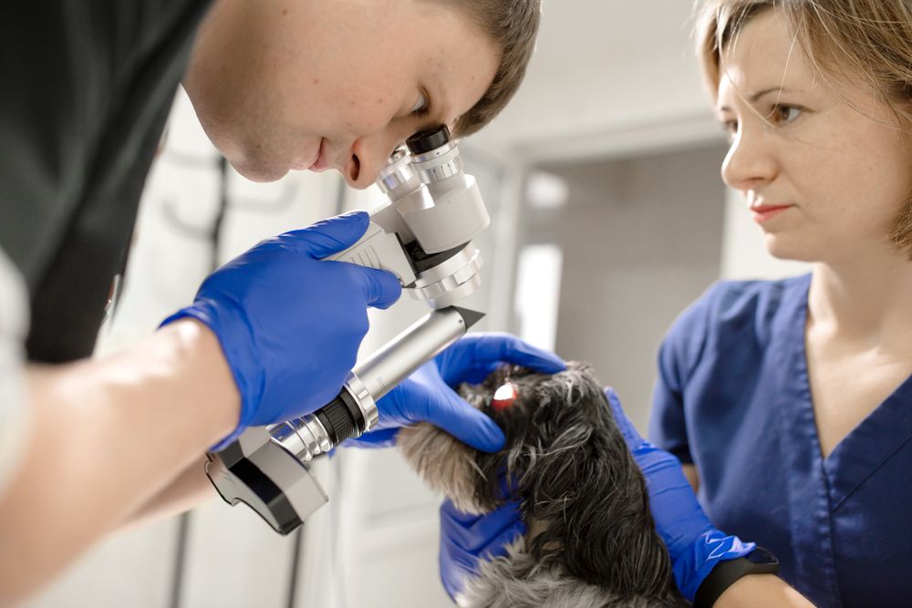 Uso responsabile dei farmaci