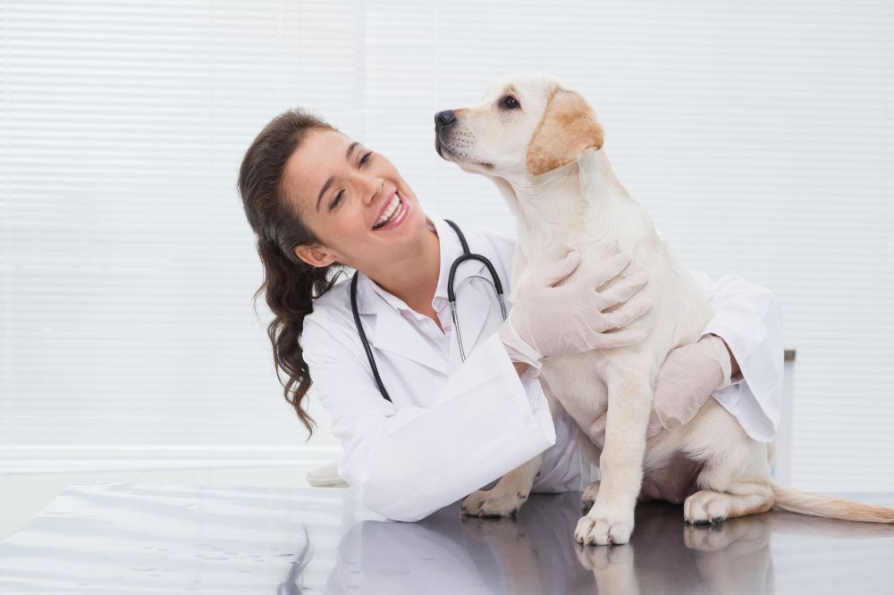 ¿Que es la insuficiencia cardiaca congestiva