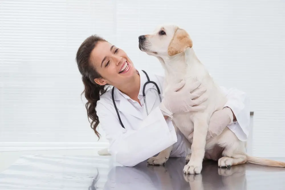 ¿Que es la insuficiencia cardiaca congestiva