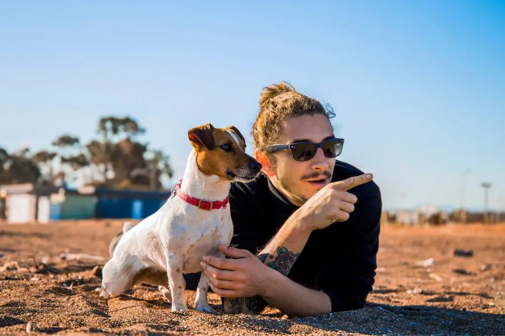 Socializzazione dei cuccioli