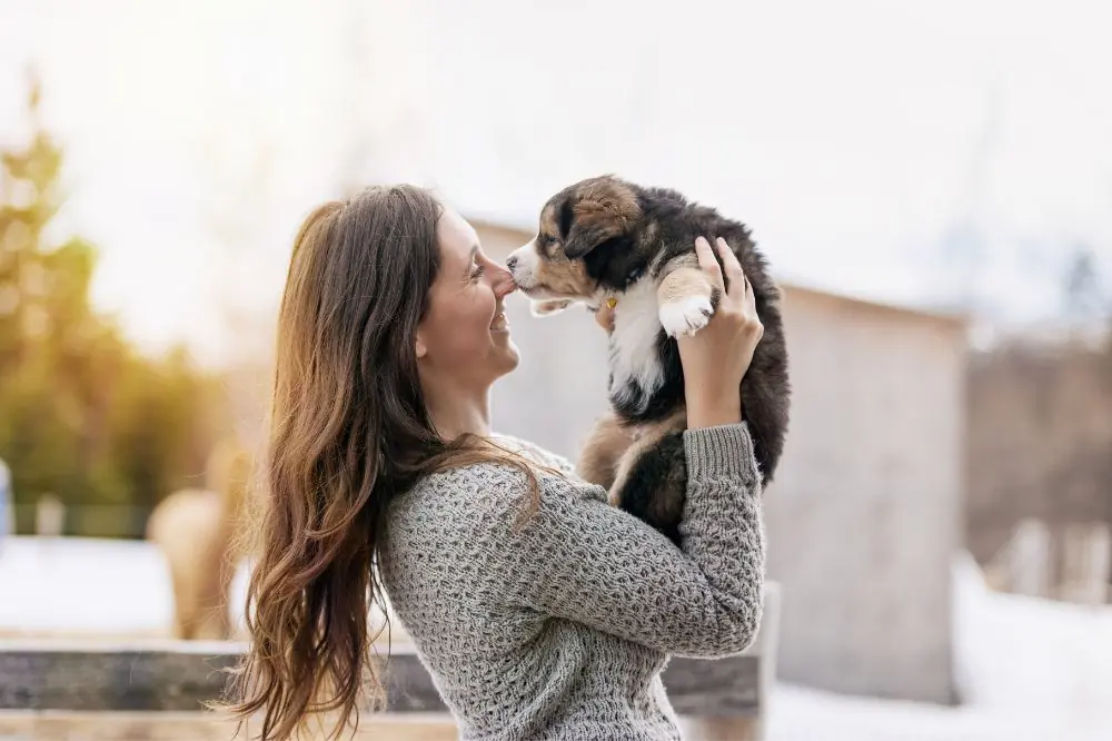 Metodología de Dogfy Diet para una nutrición integral en perros.