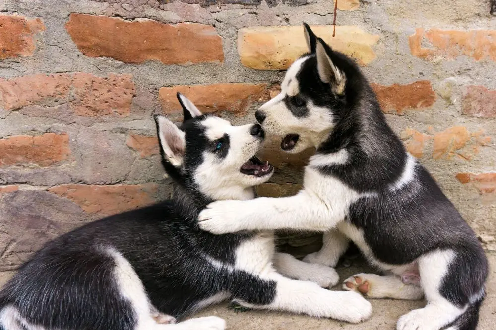 Esposizione controllata