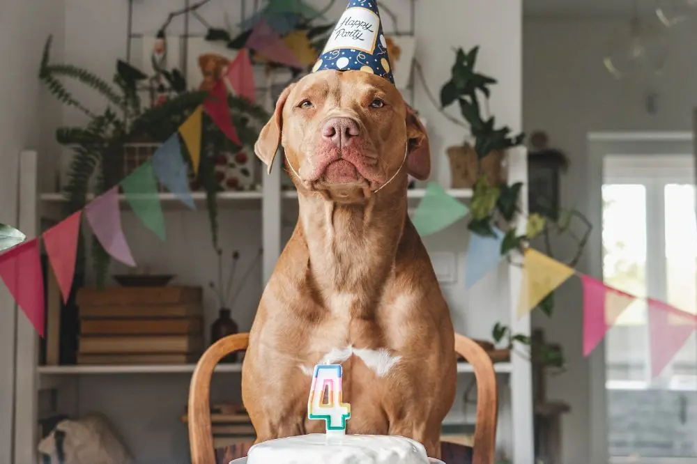 Connexion avec les humains