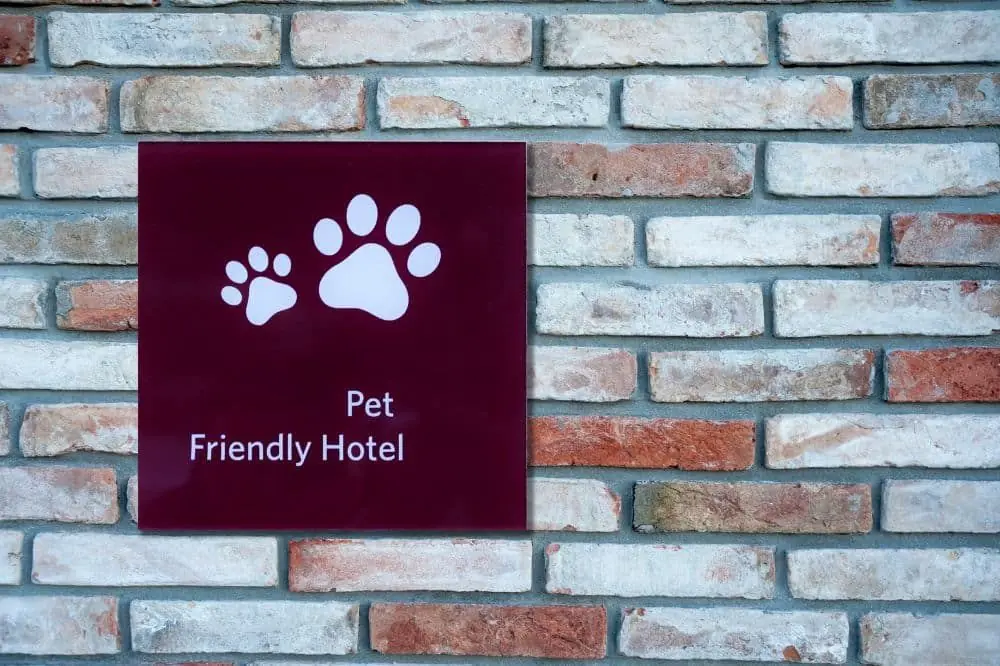 Los mejores destinos de vacaciones pet-friendly