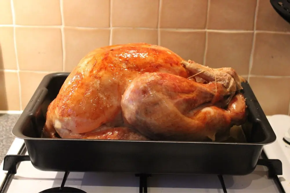 Preparazione del tacchino per cani