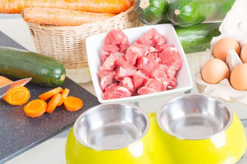 Exploración de dietas naturales y adecuadas para el Chin Japonés.