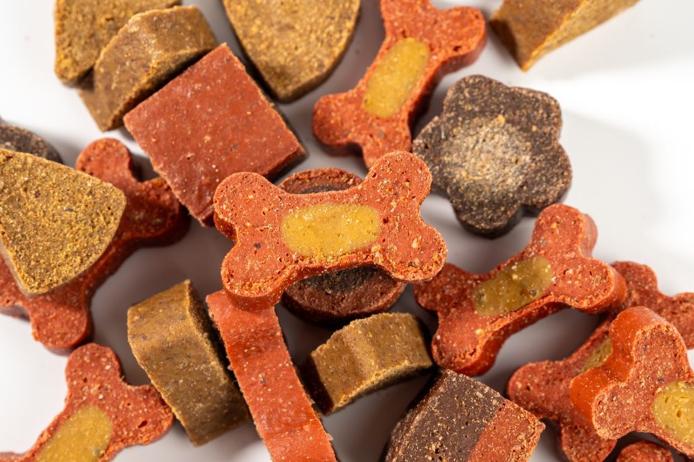 Pianificazione della dieta per cani malati