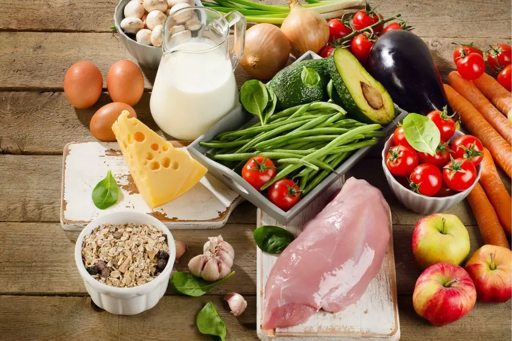 Guida ai principi delle diete per cani con malattie croniche