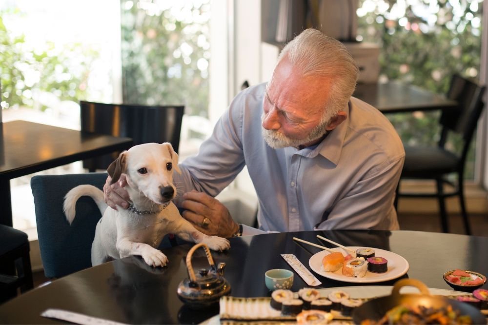 Restaurantes y cafés urbanos pet-friendly.