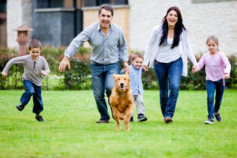 Stimolare attività fisica e mentale