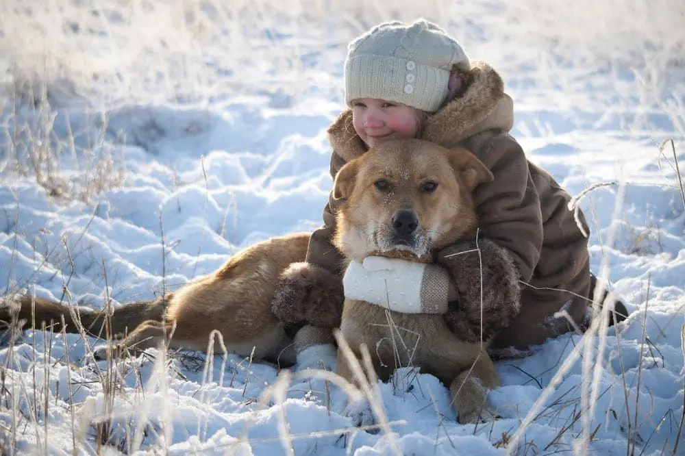 Elementi di rischio per la salute canina