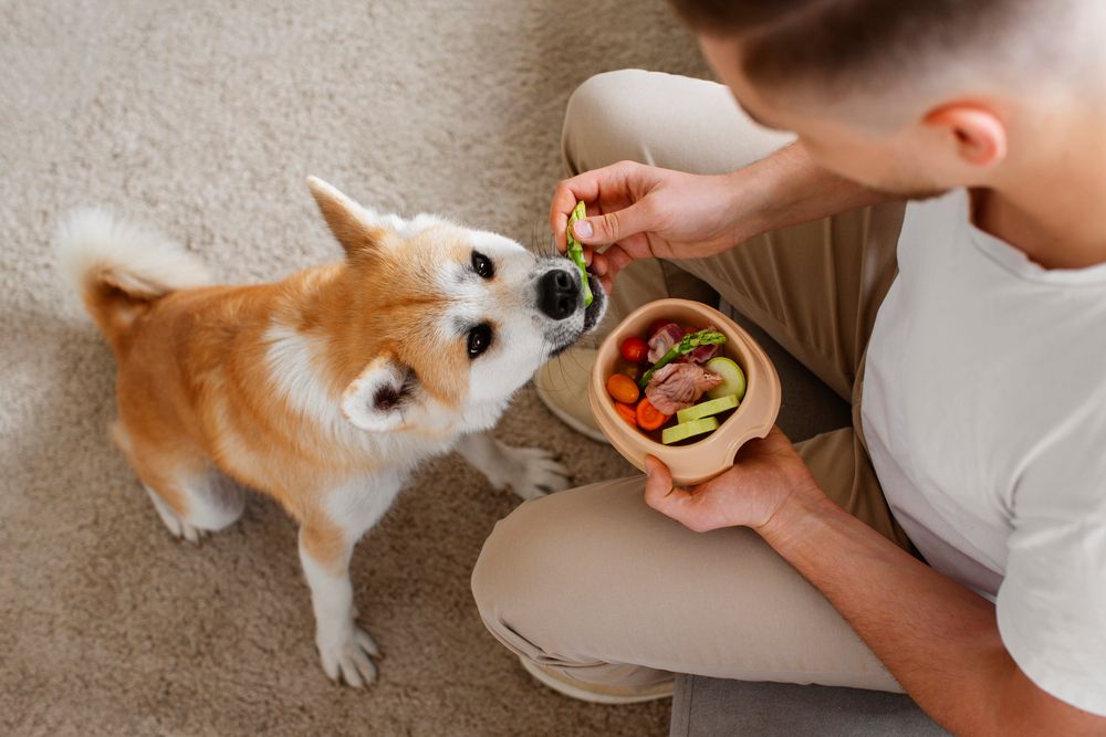 Dieta natural adaptada al nivel de actividad del perro
