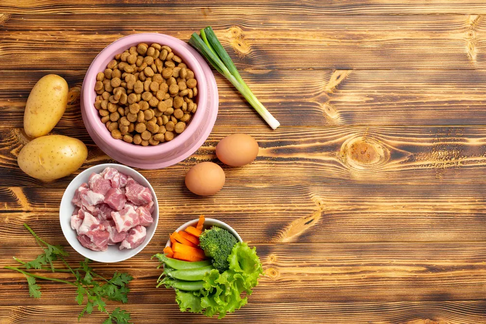 Come personalizzare la dieta naturale del tuo cane in base al livello di attività