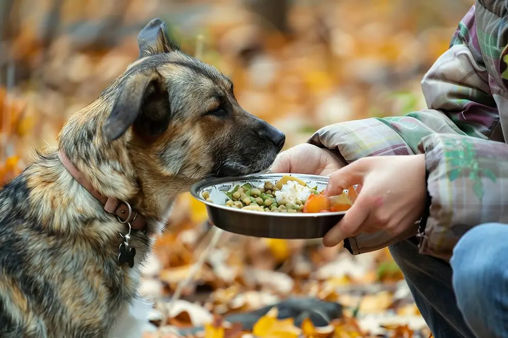 Alimentation naturelle pour chien