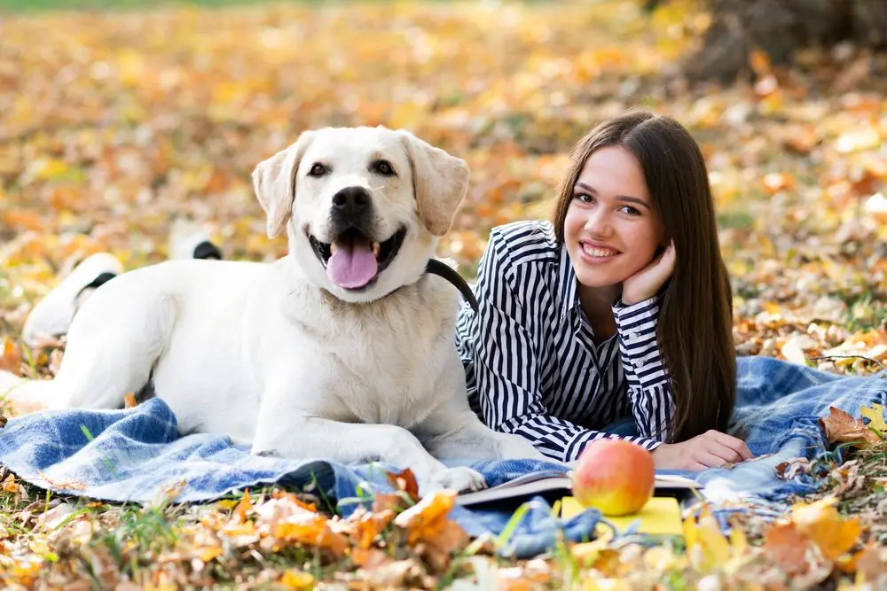 Retour sur Dogfy Diet