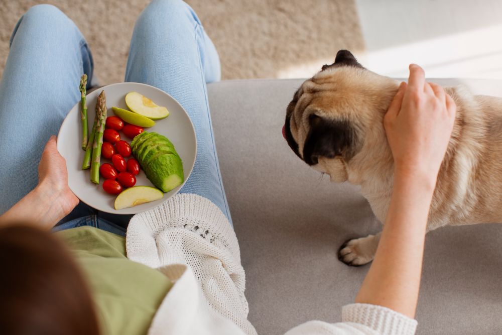 Ventajas de la fermentación en la dieta natural para perros