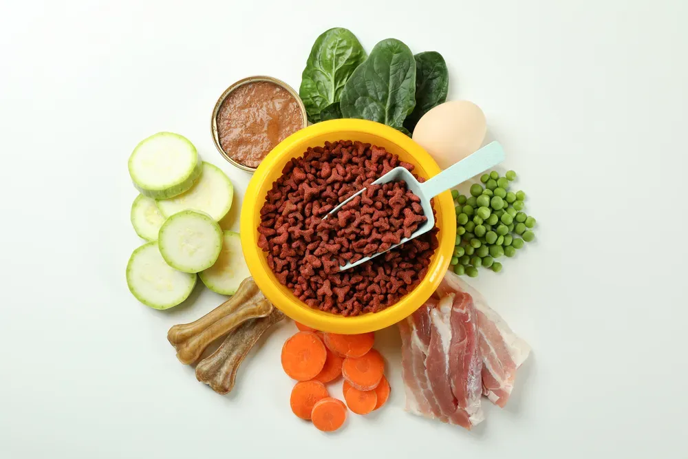 Scegliere ingredienti locali e sostenibili per la dieta del tuo cane 