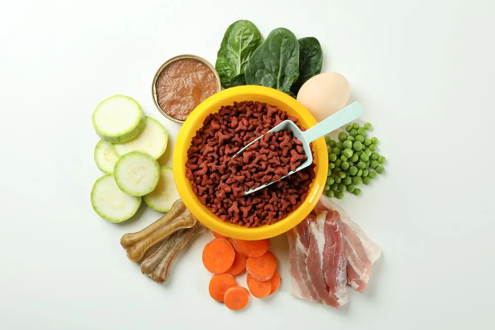 Elegir ingredientes locales y sostenibles para la dieta de tu perro