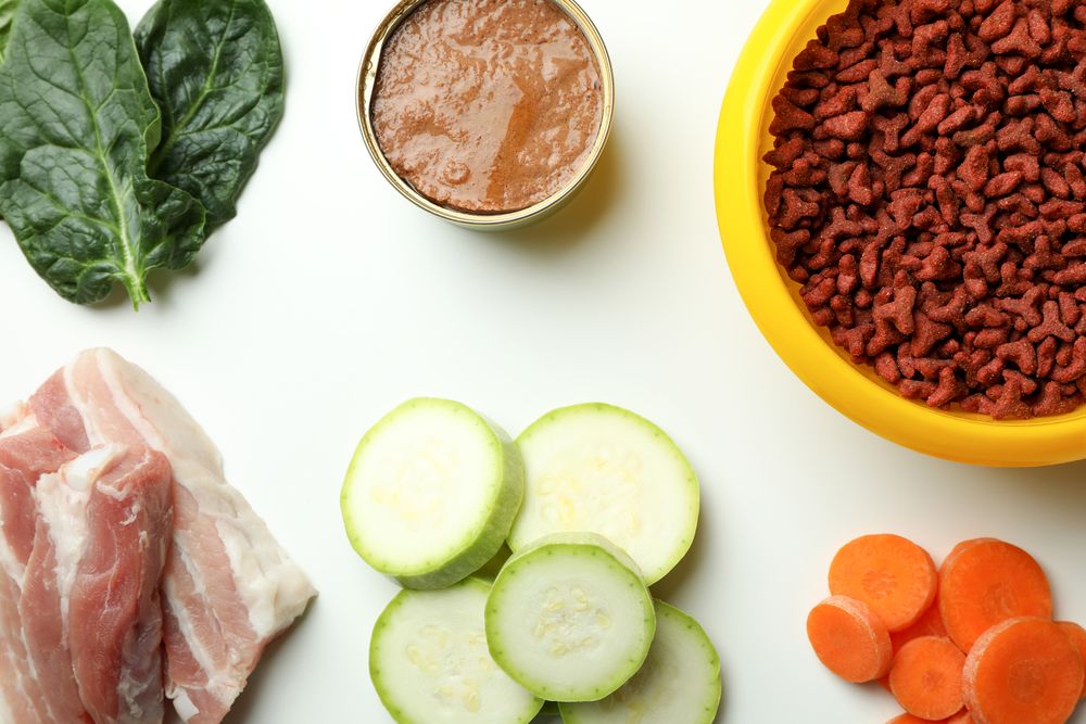 Scegliere ingredienti innovativi per cani