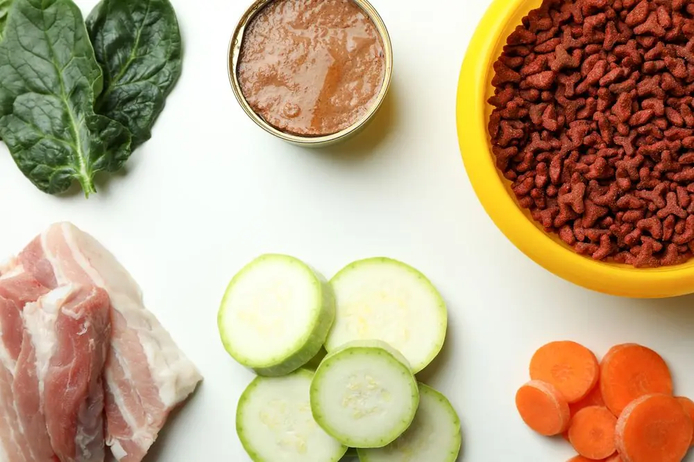 Selección de ingredientes novedosos para perros