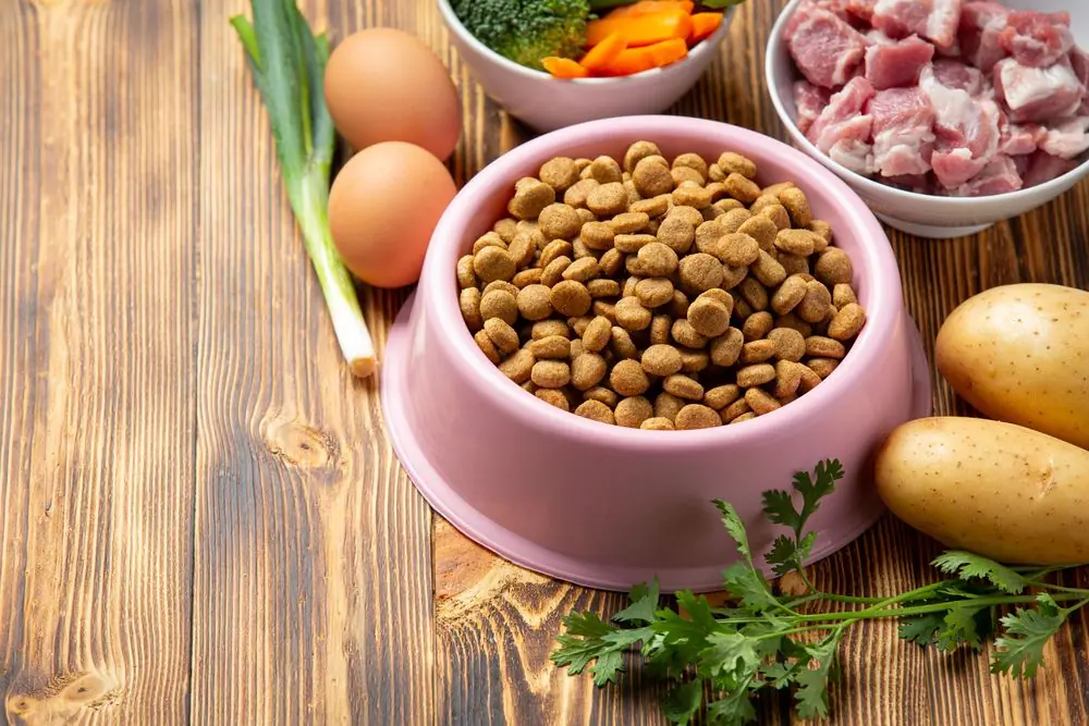 Innovación en ingredientes: seleccionando lo mejor para tu perro