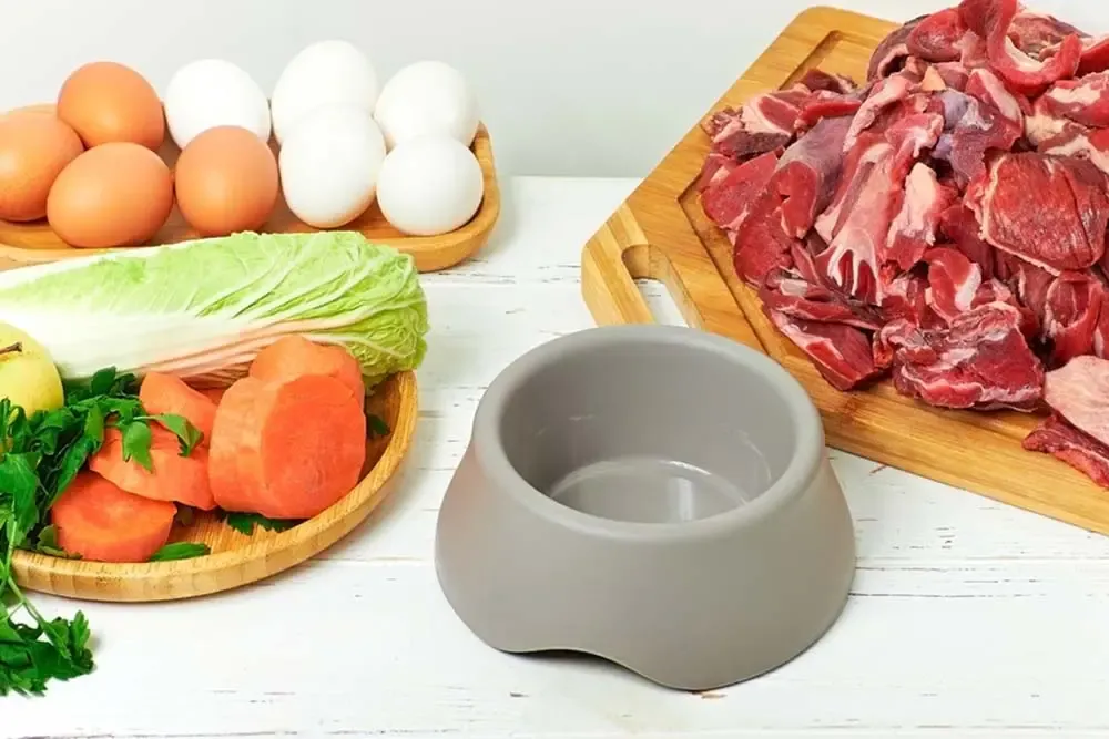 Cibo fresco e naturale per cani