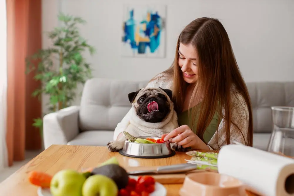 Ajouter des fruits et légumes aux repas des chiens