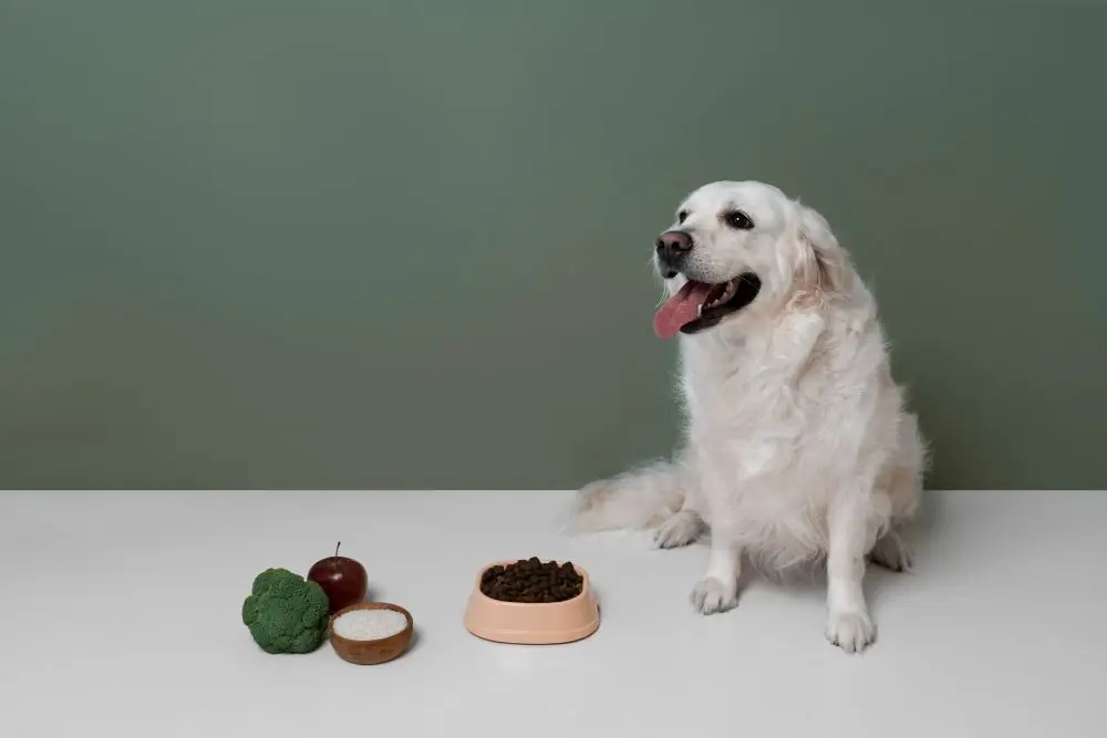 Incorporer des légumes et fruits dans les repas des chiens