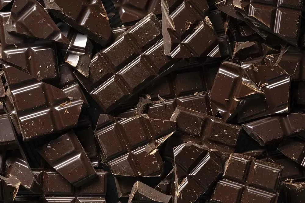 Chocolat toxique pour les chiens