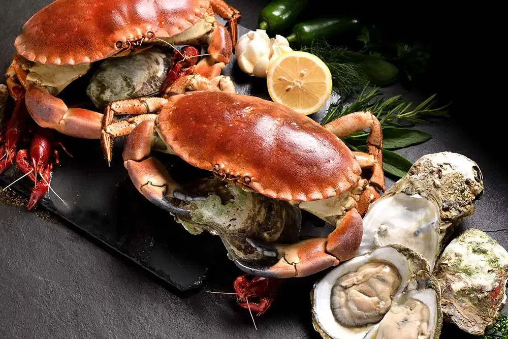 Fruits de mer toxiques pour chiens