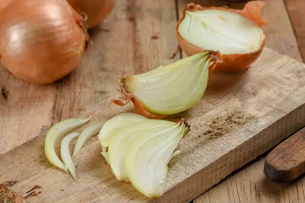 Oignon dangereux pour les chiens