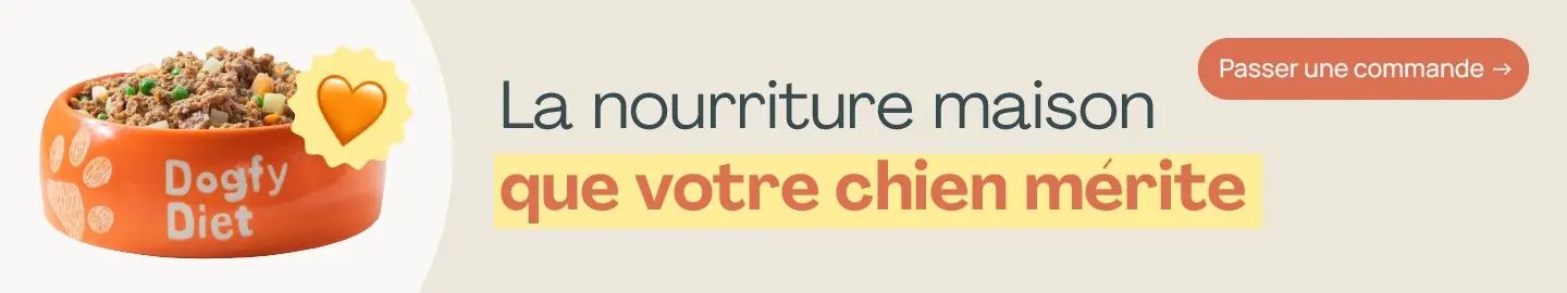 La nourriture maison