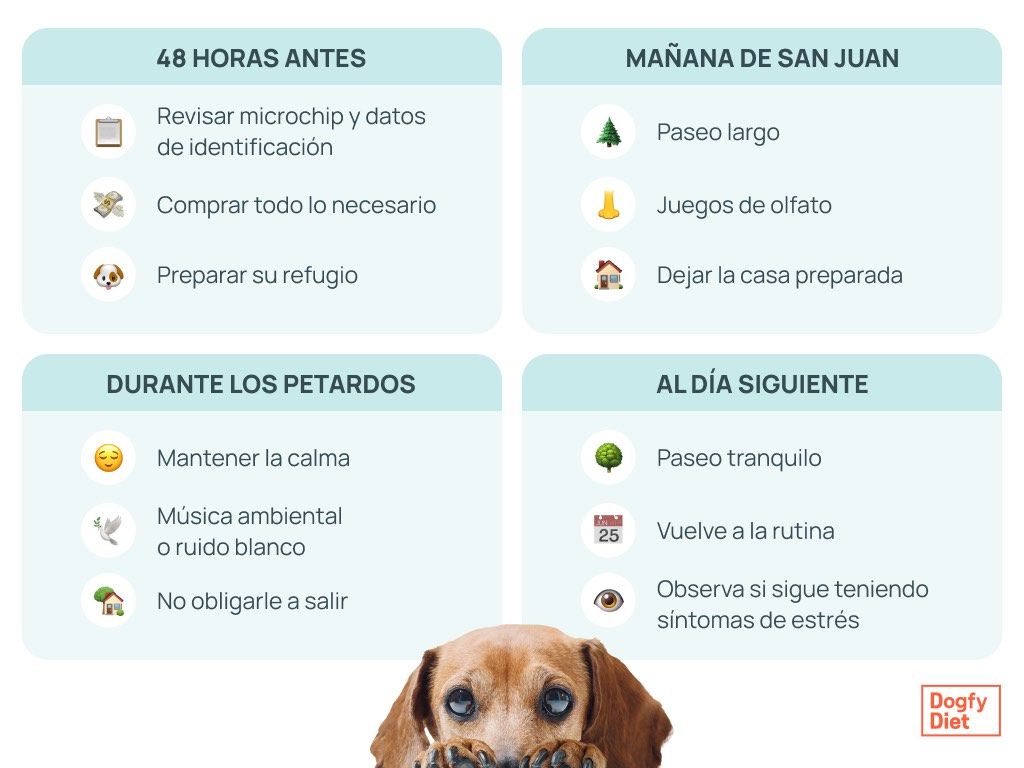Tabla con consejos para ayudar a reducir el miedo de tu perro a los petardos